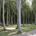 Sonnenschein *