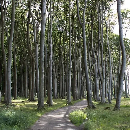 アパート Sonnenschein *